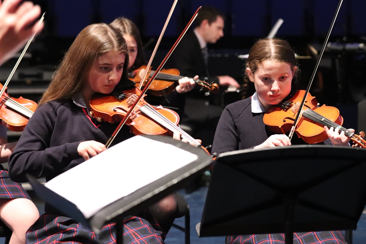 Godolphin Violins