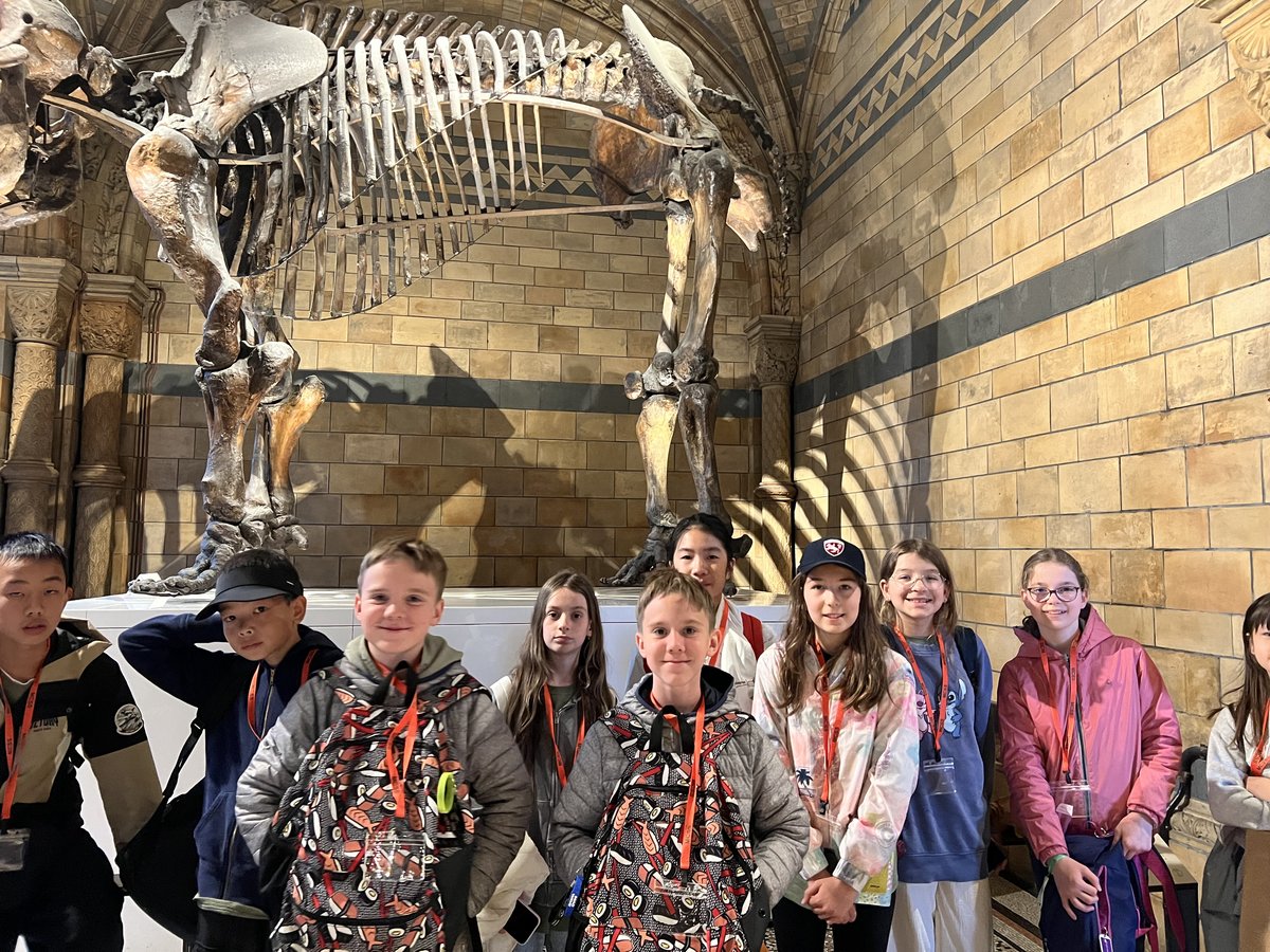 malvern-college-summer-school---excursion-to-london-natural-history-museum_54396587726_o